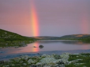 the gold is within range the gold is within range