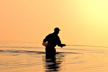 Moving out Moving out