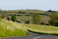 The hills of Helnaes The hills of Helnaes