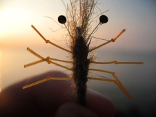 Nice, but... Nice, but...