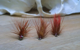 Front view Front view