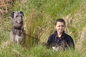 The dog and the boy The dog and the boy