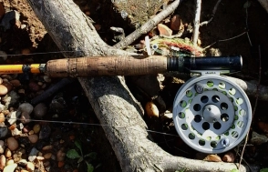 Ready for some action Ready for some action