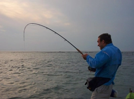 Radical reef fishing - applying the pressure Radical reef fishing - applying the pressure