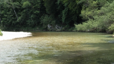 Shallow and clear Shallow and clear