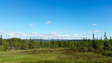 Lots of space Lots of space