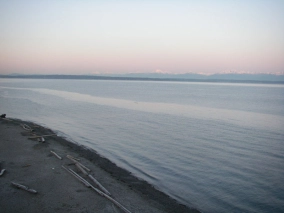 Squid country Squid country