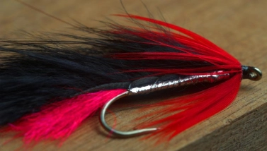 A closer look A closer look