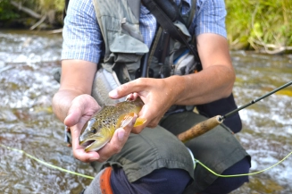 Just one more quick photo for the research Just one more quick photo for the research