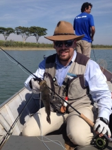 Small peacock bass Small peacock bass