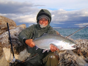 Healthy fish Healthy fish