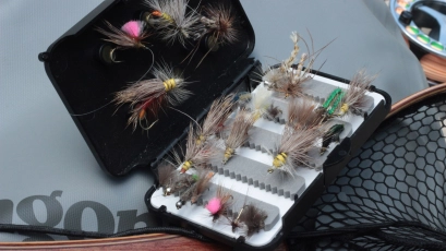 Some of the flies Some of the flies