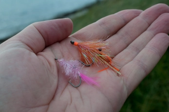 Pink and orange Pink and orange