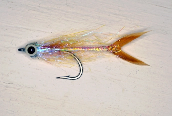 The finished Speedy The finished Speedy