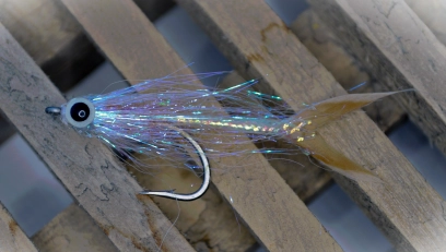 The Speedy The Speedy