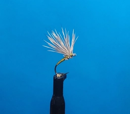 Deer Hair Stuck Dun size 14 Deer Hair Stuck Dun size 14