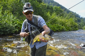 Additional terrestrial proteins are obvious Additional terrestrial proteins are obvious