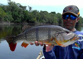 A Tucunaré Azu-Paca A Tucunaré Azu-Paca