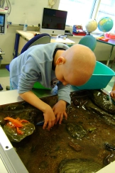 Hands in the water Hands in the water