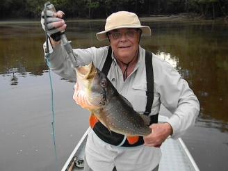 The author The author