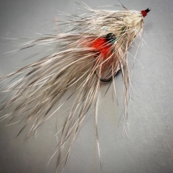 The red spot The red spot