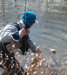 Here it comes Here it comes