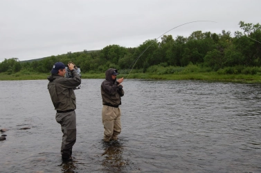 Filming the fight Filming the fight