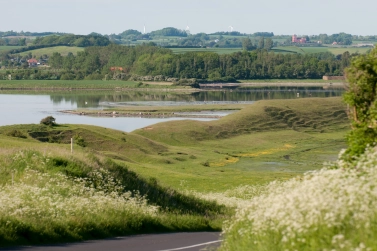 Lots of water Lots of water