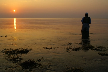 Soft light Soft light