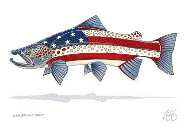 USA brown trout USA brown trout