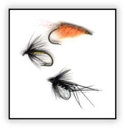 Dutch Scampi and traditional wet flies Dutch Scampi and traditional wet flies
