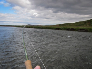 THE moment THE moment