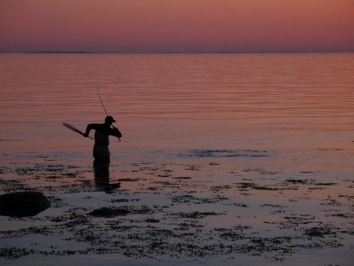 The challenge The challenge