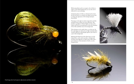 Sample pages from Imaging Imitations Sample pages from Imaging Imitations