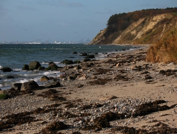 Rough coast Rough coast