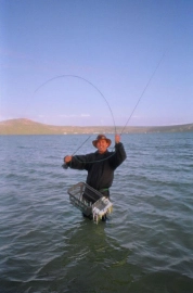 Even sand sharks can break a rod. Even sand sharks can break a rod.