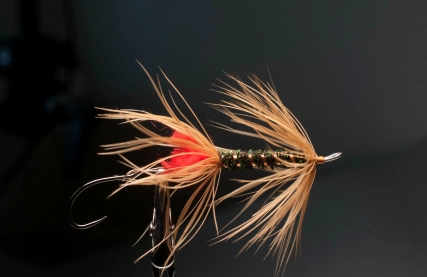 Red Tag Intruder Red Tag Intruder