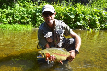 Mahon from Ireland Mahon from Ireland