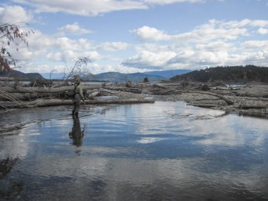 Fran in a hurry Fran in a hurry