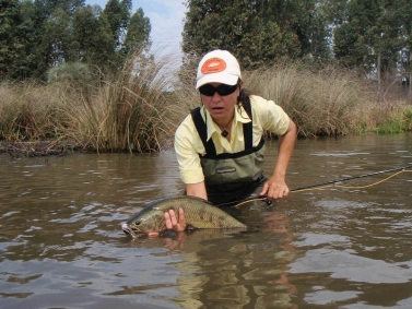 Ready to release Ready to release