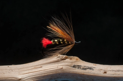 Red Tag Salmon Red Tag Salmon