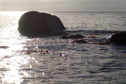 Reflections Reflections