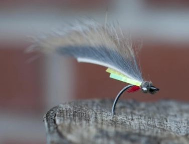 Bling Zkinny with gills Bling Zkinny with gills