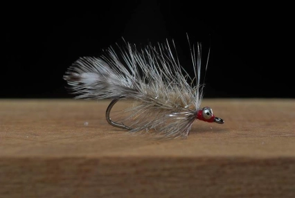 Indoors Frede Indoors Frede