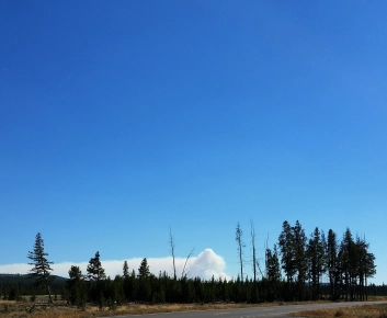 Forest fire Forest fire