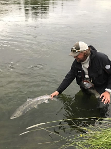 Another one gets released Another one gets released