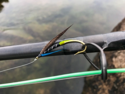 Blue Charm variant Blue Charm variant