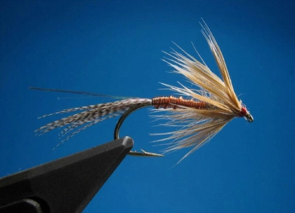 Klympen on blue Klympen on blue