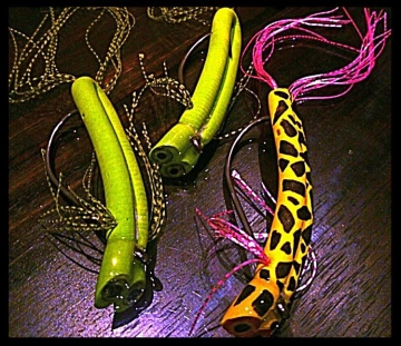 Gutless Frogs Gutless Frogs