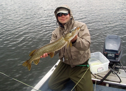 Ready to release Ready to release